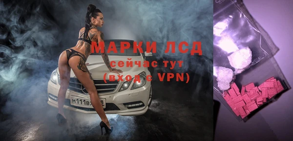 стафф Арсеньев
