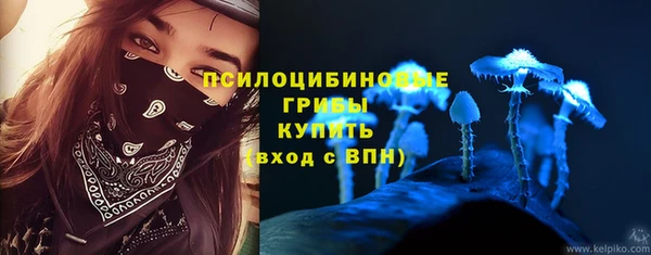 крисы Аркадак