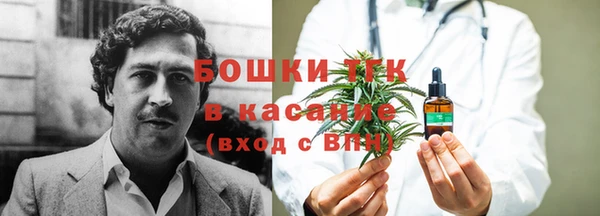 крисы Аркадак