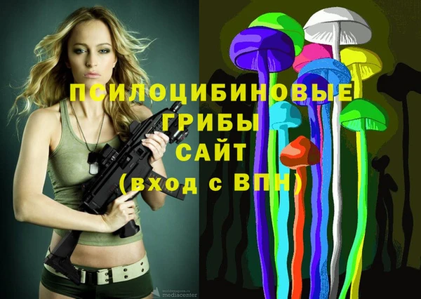 амфетамин Сясьстрой