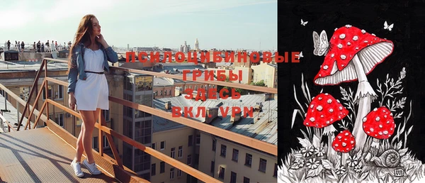 стафф Арсеньев