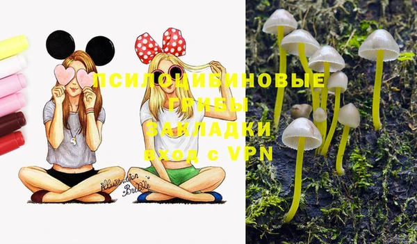 a pvp Армянск