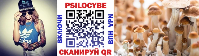 магазин    Инза  Псилоцибиновые грибы ЛСД 